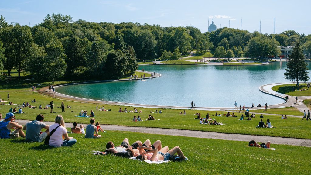A sunny park scene with people lounging on green grass, enjoying a serene lake and surrounding trees.