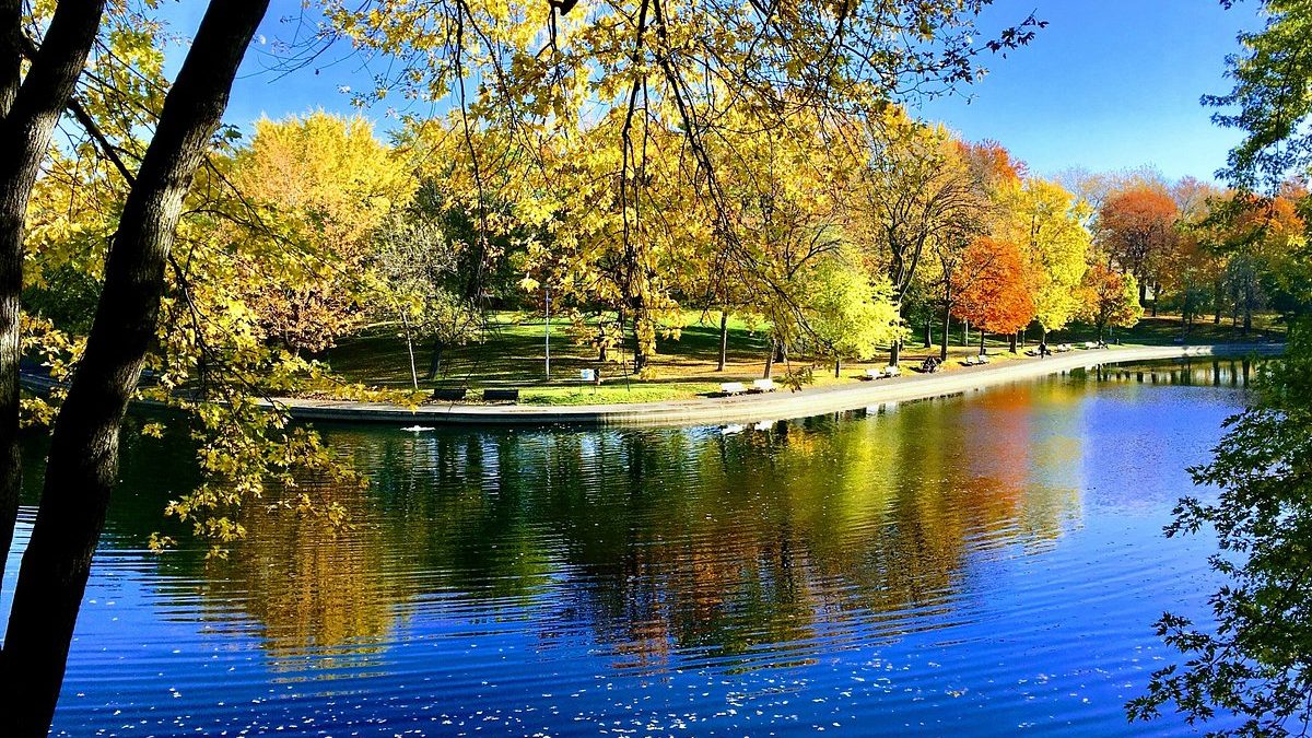 A serene park scene with vibrant autumn foliage reflecting on a calm lake under a clear blue sky. Benches line the water's edge.