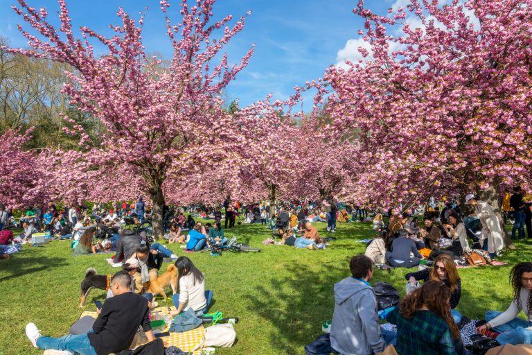 Spring Picnic Parks Across Canada