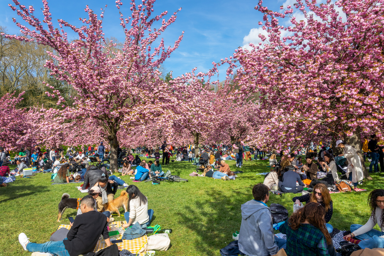 Pack a Basket: Top Spring Picnic Parks Across Canada