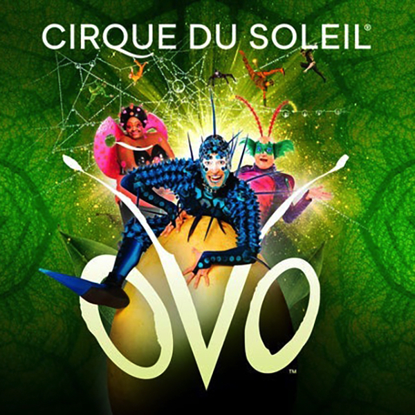 Cirque du Soleil’s OVO in Toronto: What to Know, Where to Go