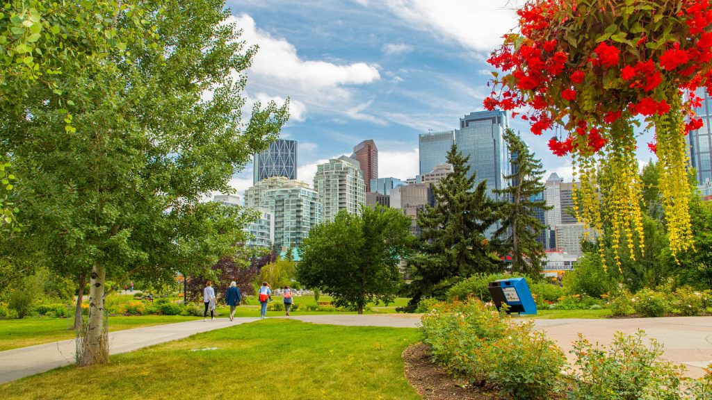 A scenic park view with blooming flowers and trees, featuring people strolling, framed by Calgary skyline under a blue sky.