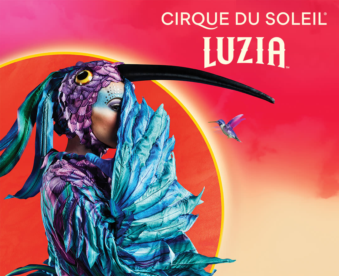 From Parking to Popcorn: Everything You Need for Cirque Du Soleil LUZIA