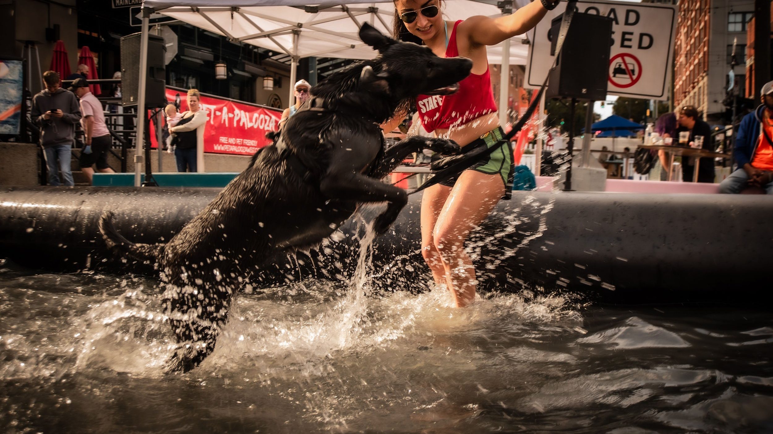 Pet-a-Palooza