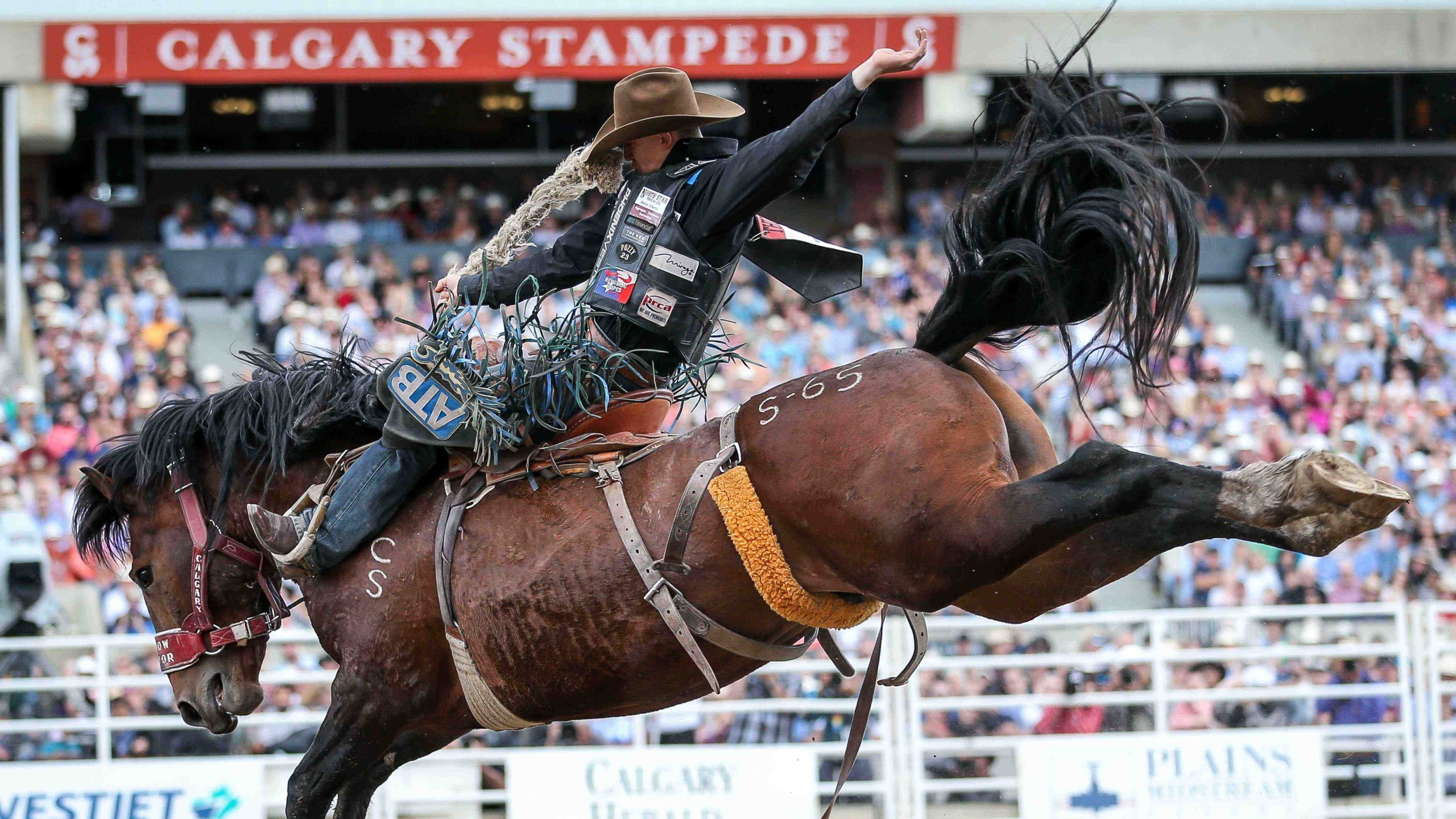 Calgary Stampede