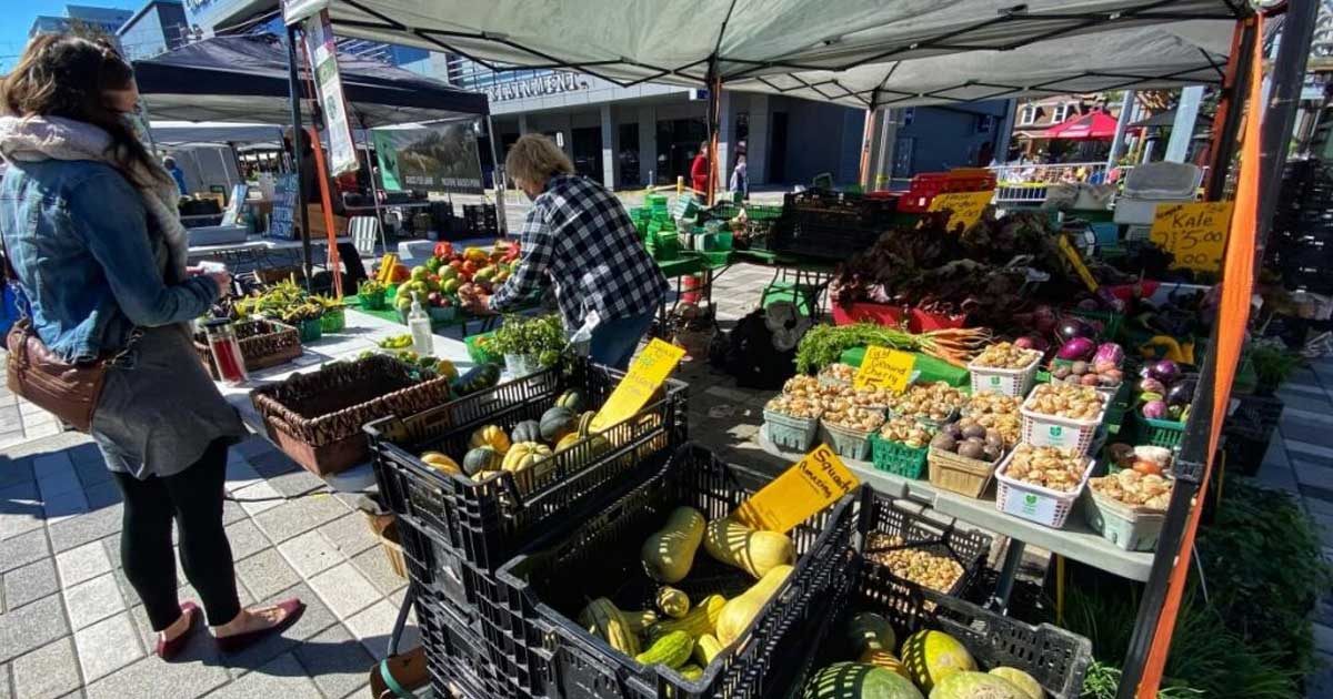 Lansdowne Farmers’ Market