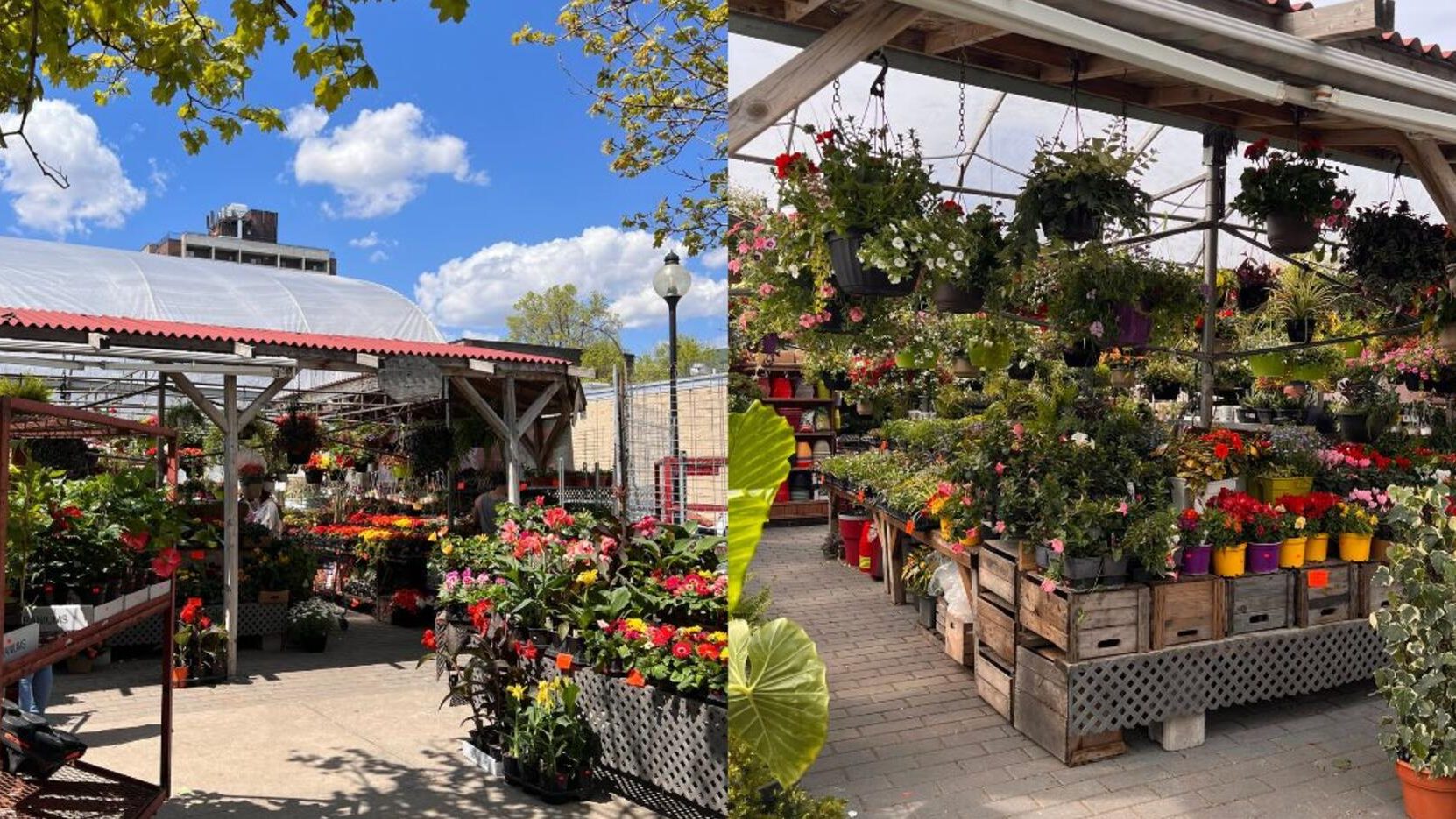 Papineau Market