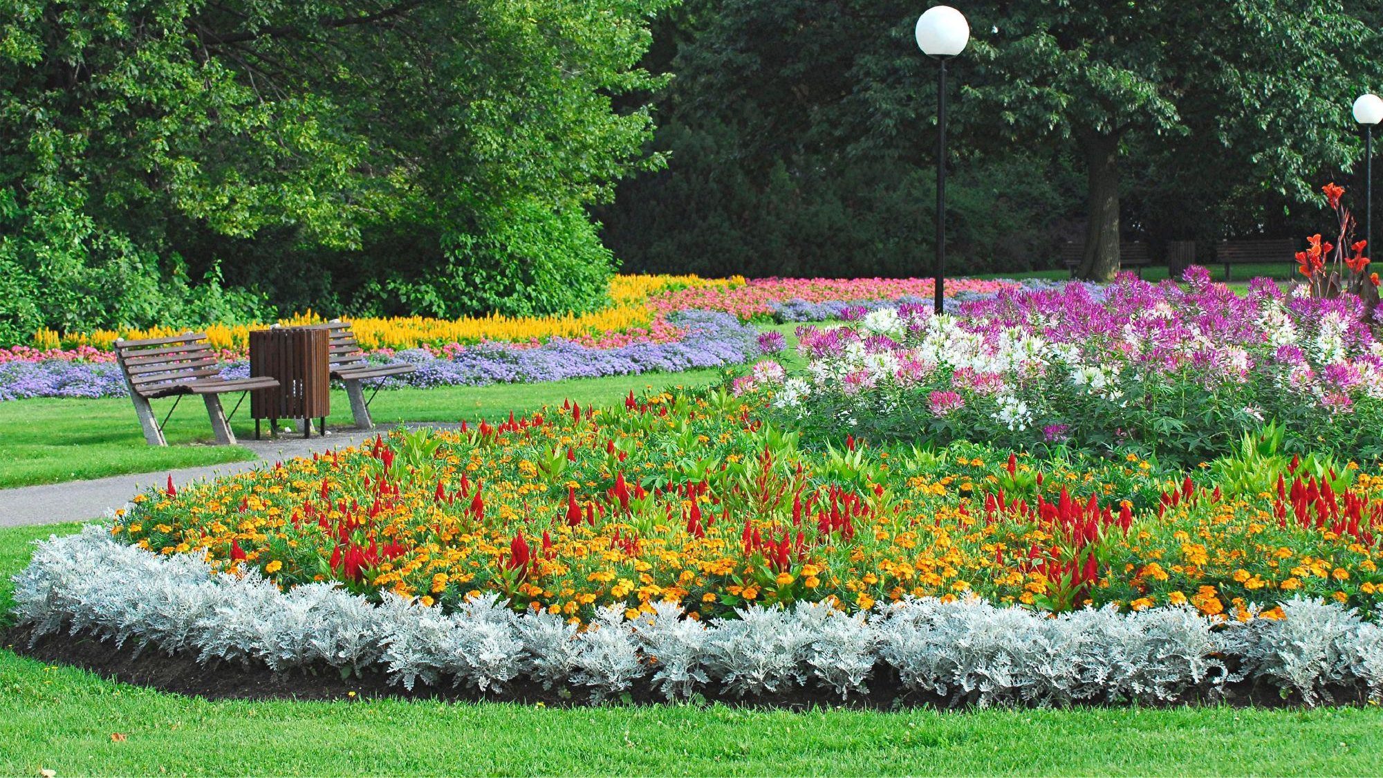 See Beautiful Flowers at Commissioners Park