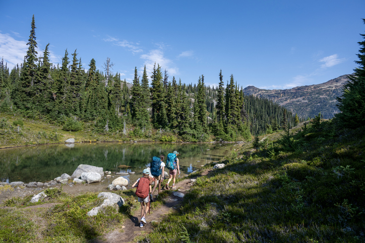 Nature Activities to Try in your city this summer