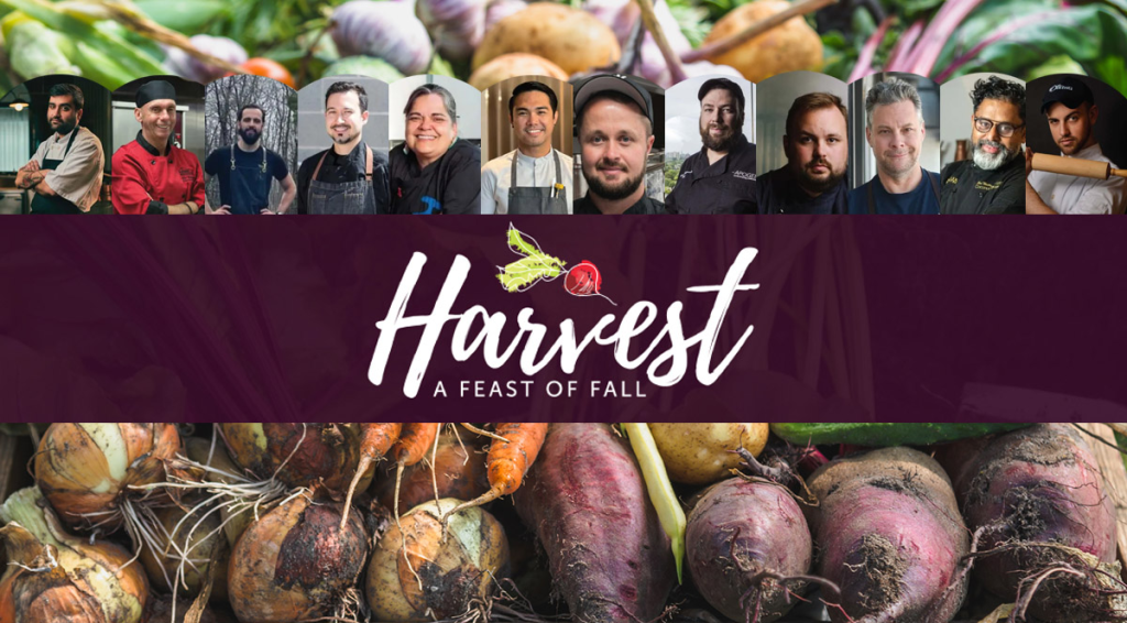 Harvest – A Feast of Fall