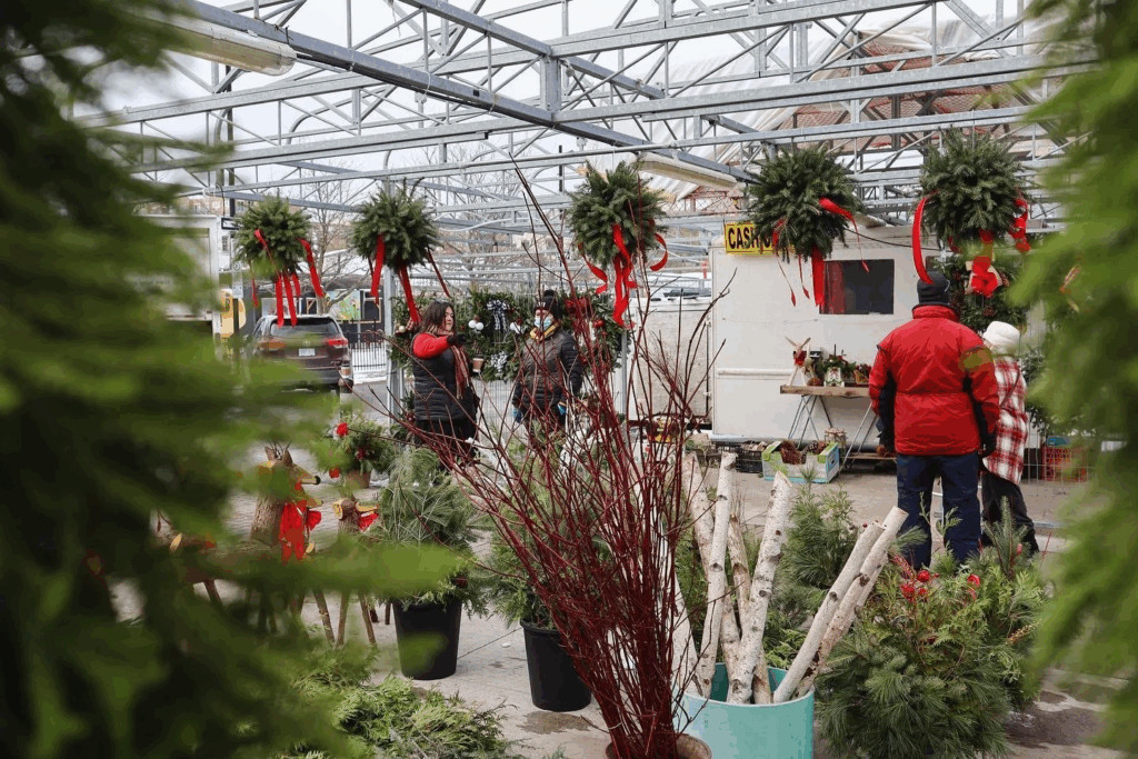 Holiday Market at Parkdale (at Parkdale Public Market)